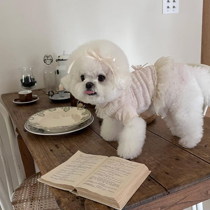 即納【Hi Yeboo】Iris Cape Collar Ops（Ivory）