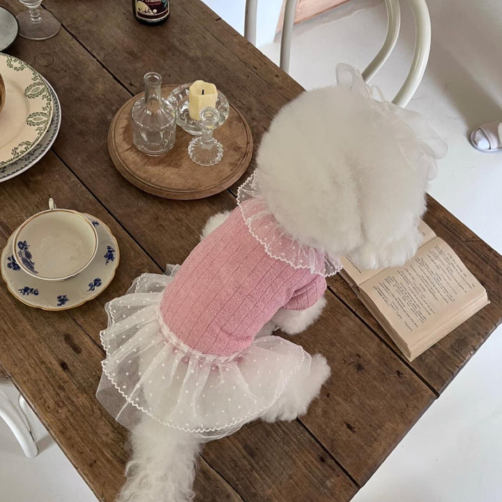 ※予約販売【Hi Yeboo】Iris Cape Collar Ops (Pink)