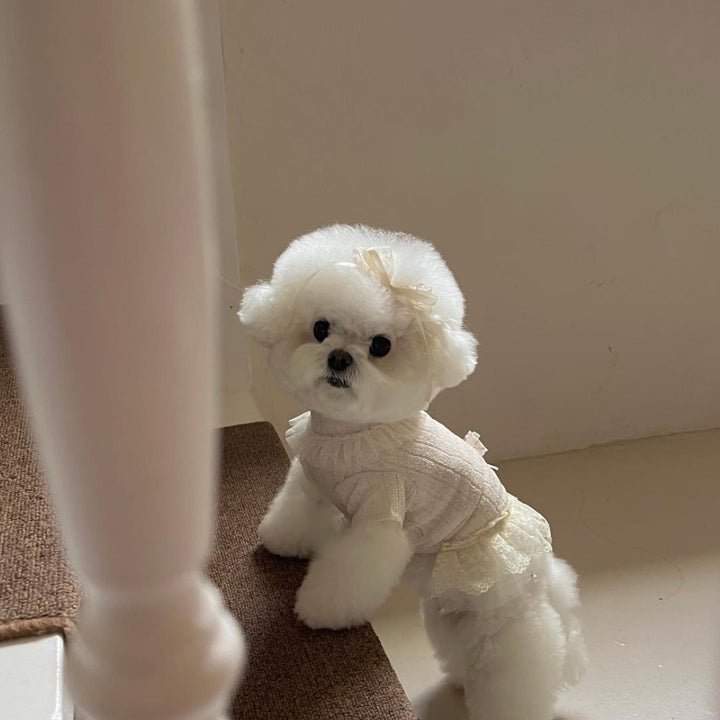 即納【Hi Yeboo】Iris Cape Collar Ops（Ivory）