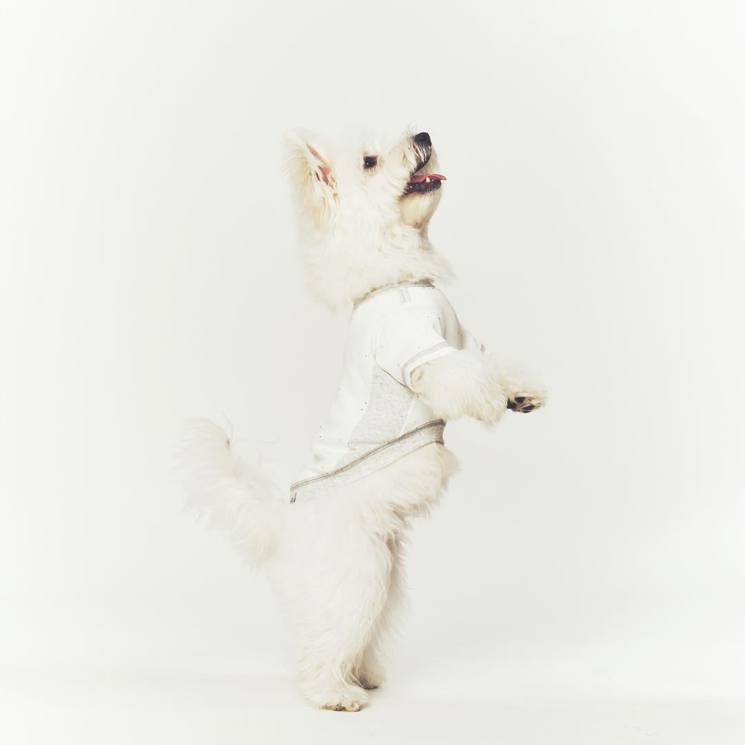 ※予約販売【seoru】Oat nep T-shirt(White melange Gray)