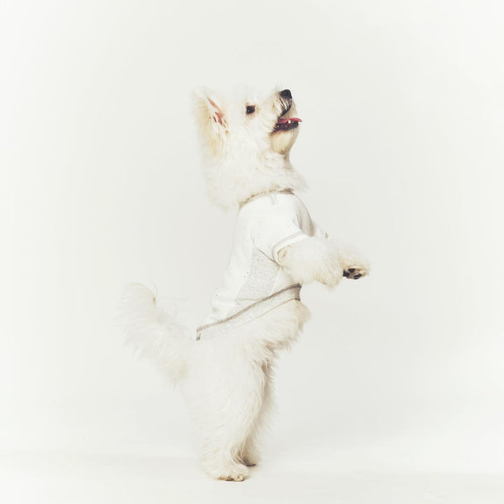 ※予約販売【seoru】Oat nep T-shirt(White melange Gray)