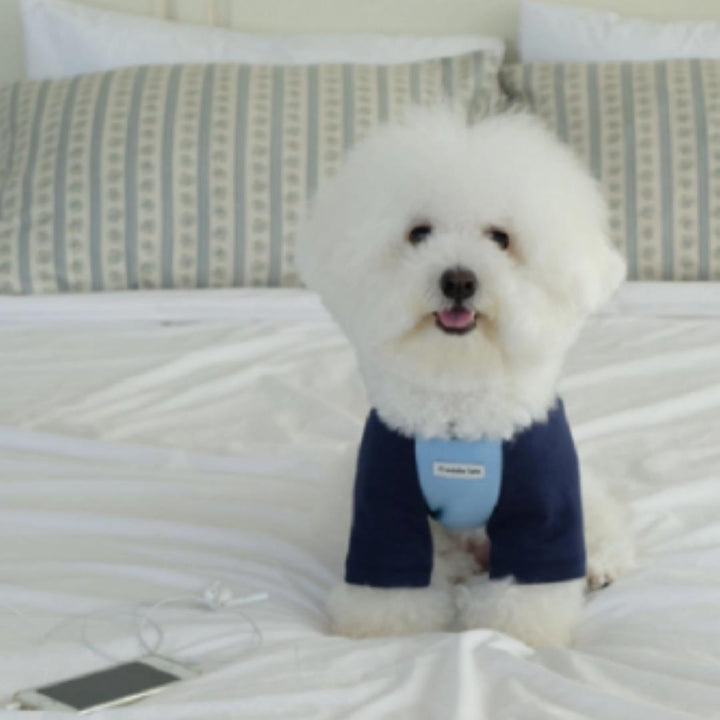 即納【FREDDIE TALE】F logo raglan tee（Blue）