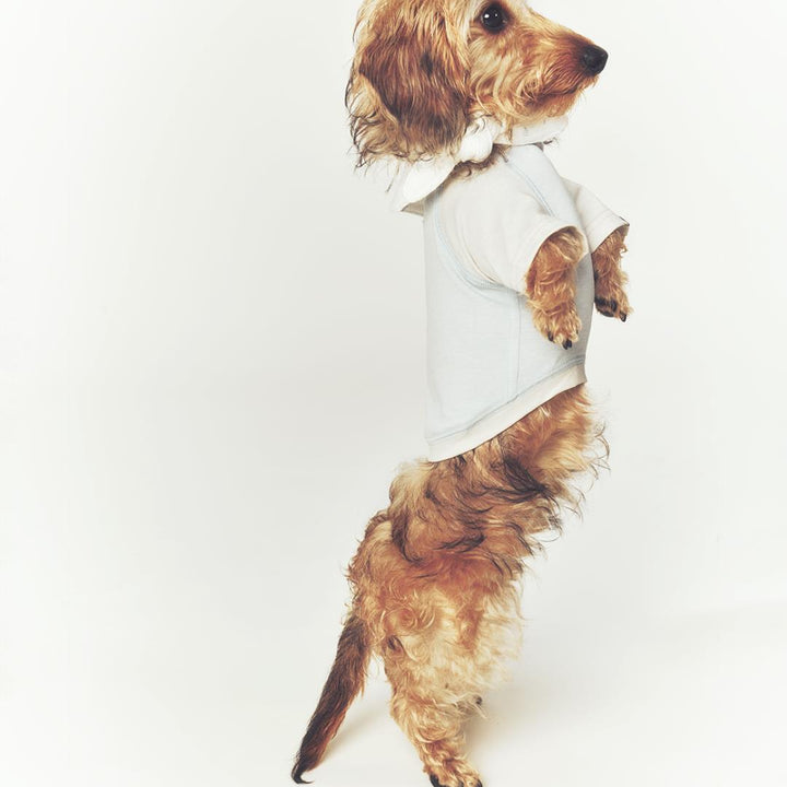 ※予約販売【seoru】Classic Raglan T-shirt(Sky Blue)