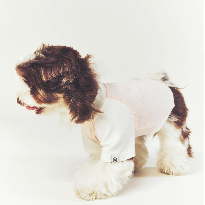 ※予約販売【seoru】Classic Raglan T-shirt(Baby Pink)