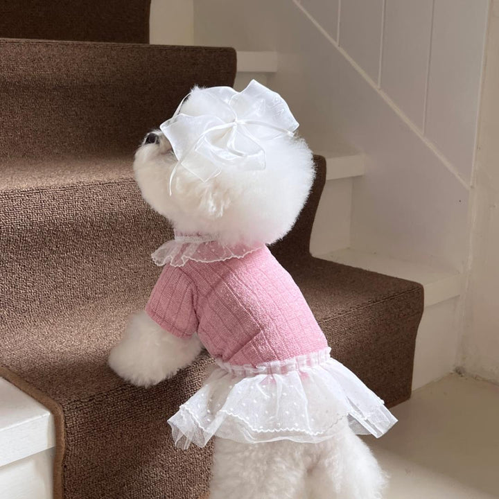 ※予約販売【Hi Yeboo】Iris Cape Collar Ops (Pink)