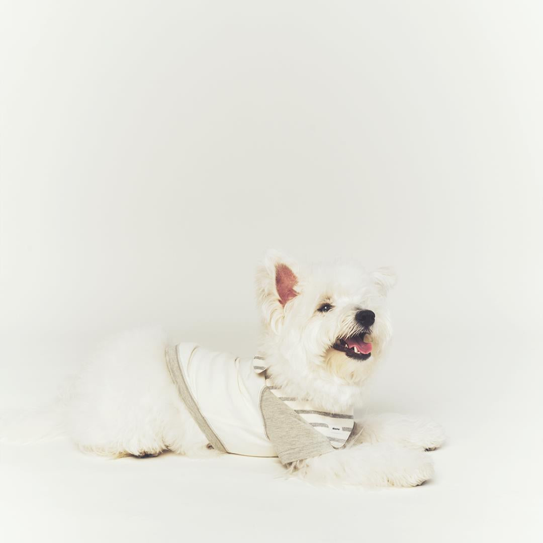 ※予約販売【seoru】Classic Raglan T-shirt(Melange Gray)