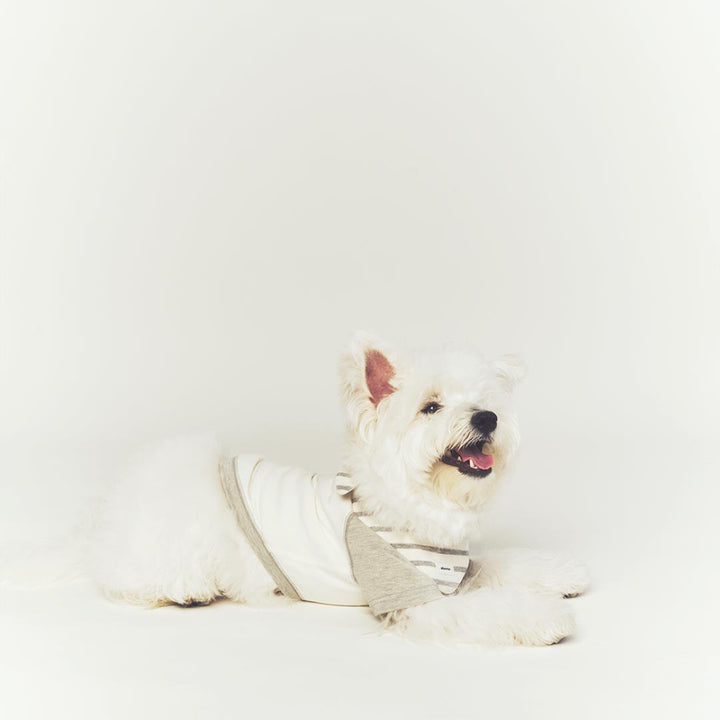 ※予約販売【seoru】Classic Raglan T-shirt(Melange Gray)
