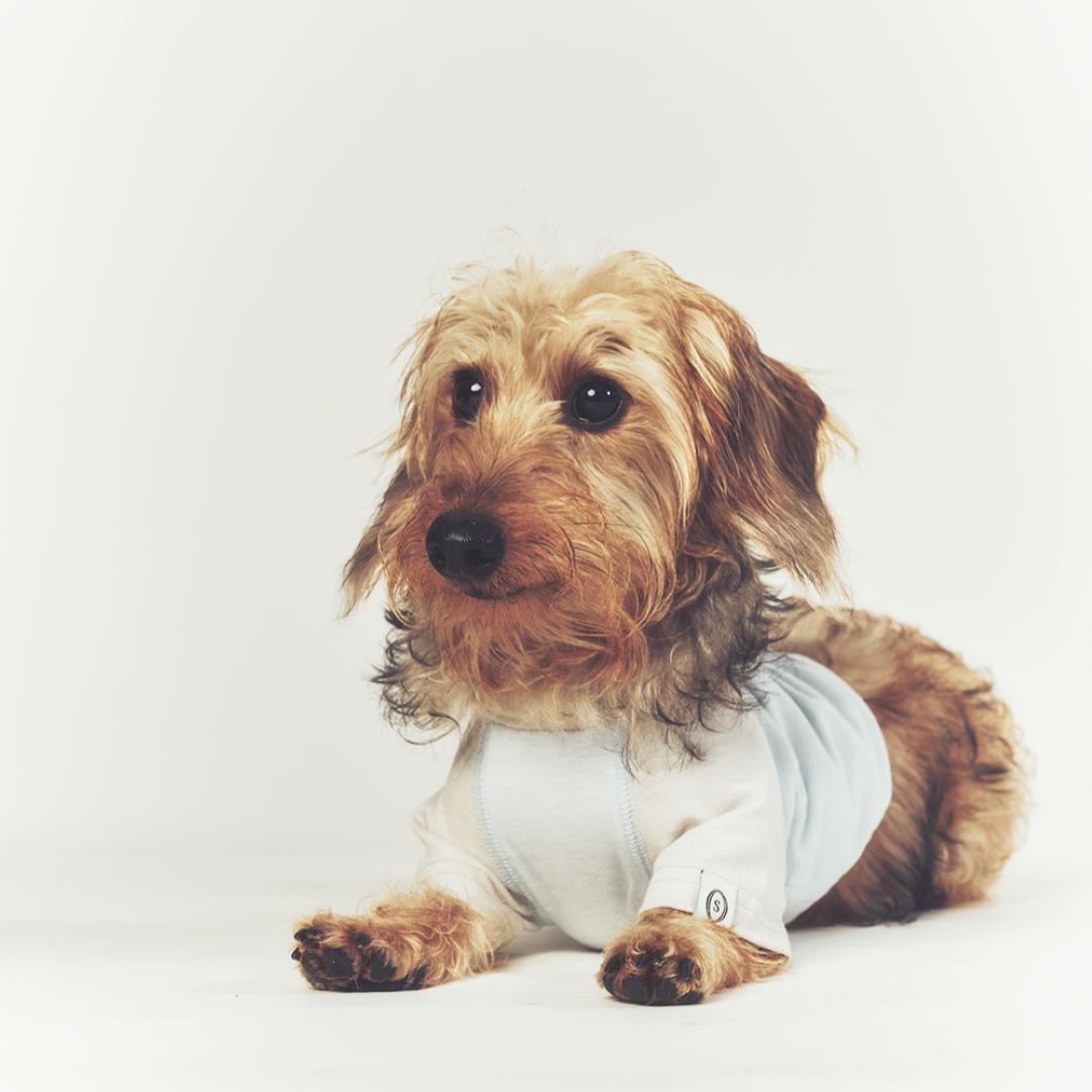 ※予約販売【seoru】Classic Raglan T-shirt(Sky Blue)