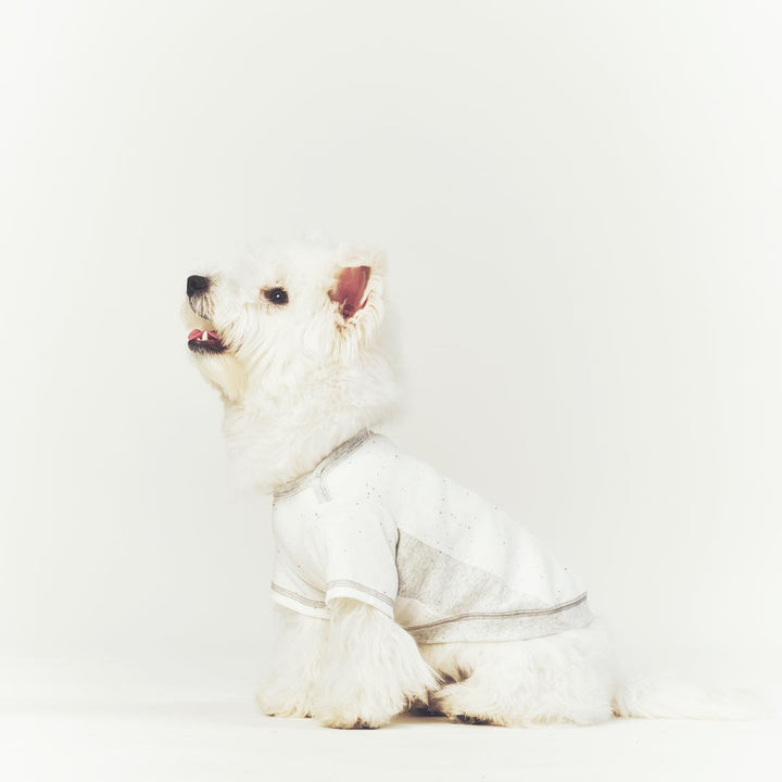 ※予約販売【seoru】Oat nep T-shirt(White melange Gray)
