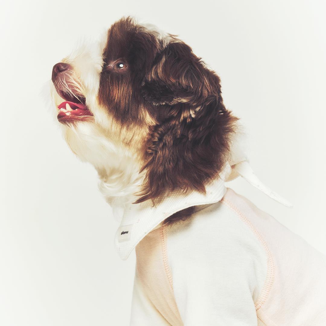 ※予約販売【seoru】Classic Raglan T-shirt(Baby Pink)