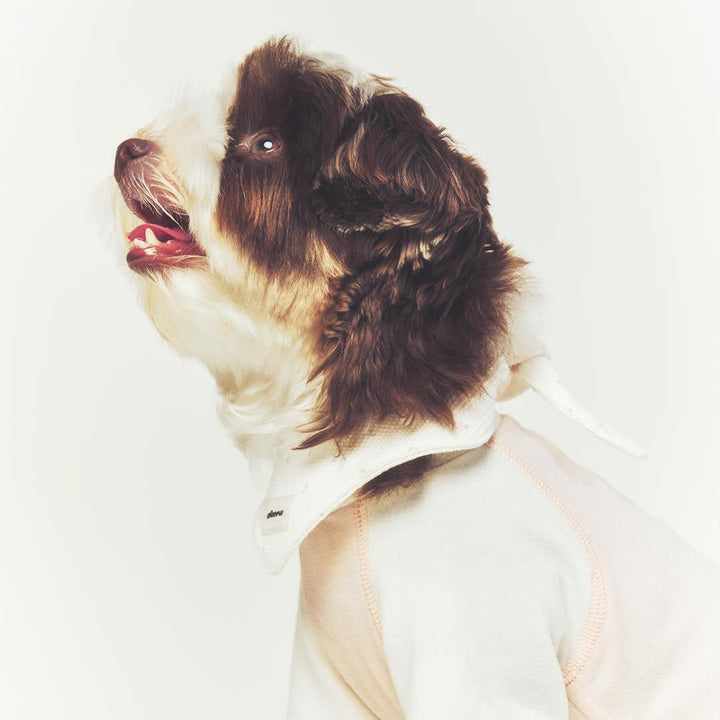 ※予約販売【seoru】Classic Raglan T-shirt(Baby Pink)