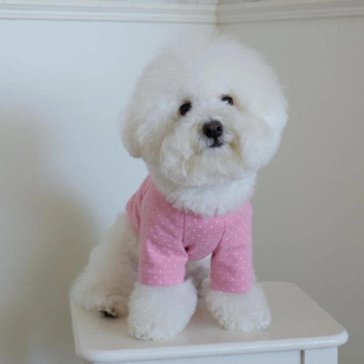 ※予約販売【FREDDIE TALE】Dotter raglan tee(pink)