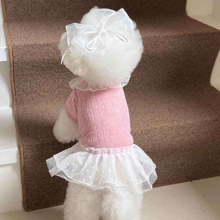 ※予約販売【Hi Yeboo】Iris Cape Collar Ops (Pink)