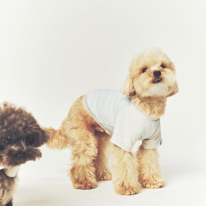 ※予約販売【seoru】Classic Raglan T-shirt(Sky Blue)