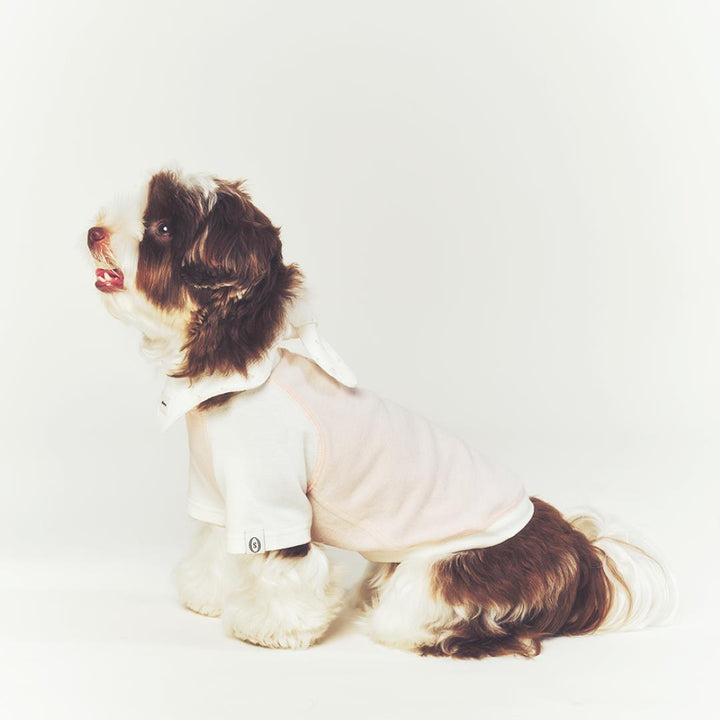 ※予約販売【seoru】Classic Raglan T-shirt(Baby Pink)