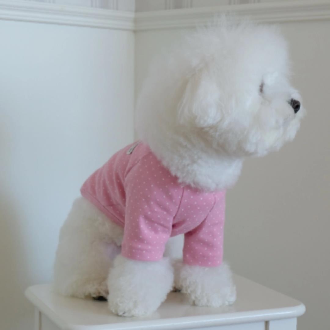 ※予約販売【FREDDIE TALE】Dotter raglan tee(pink)