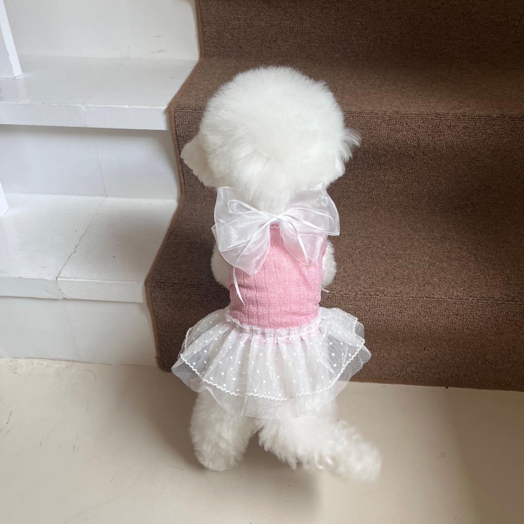 ※予約販売【Hi Yeboo】Iris Cape Collar Ops (Pink)