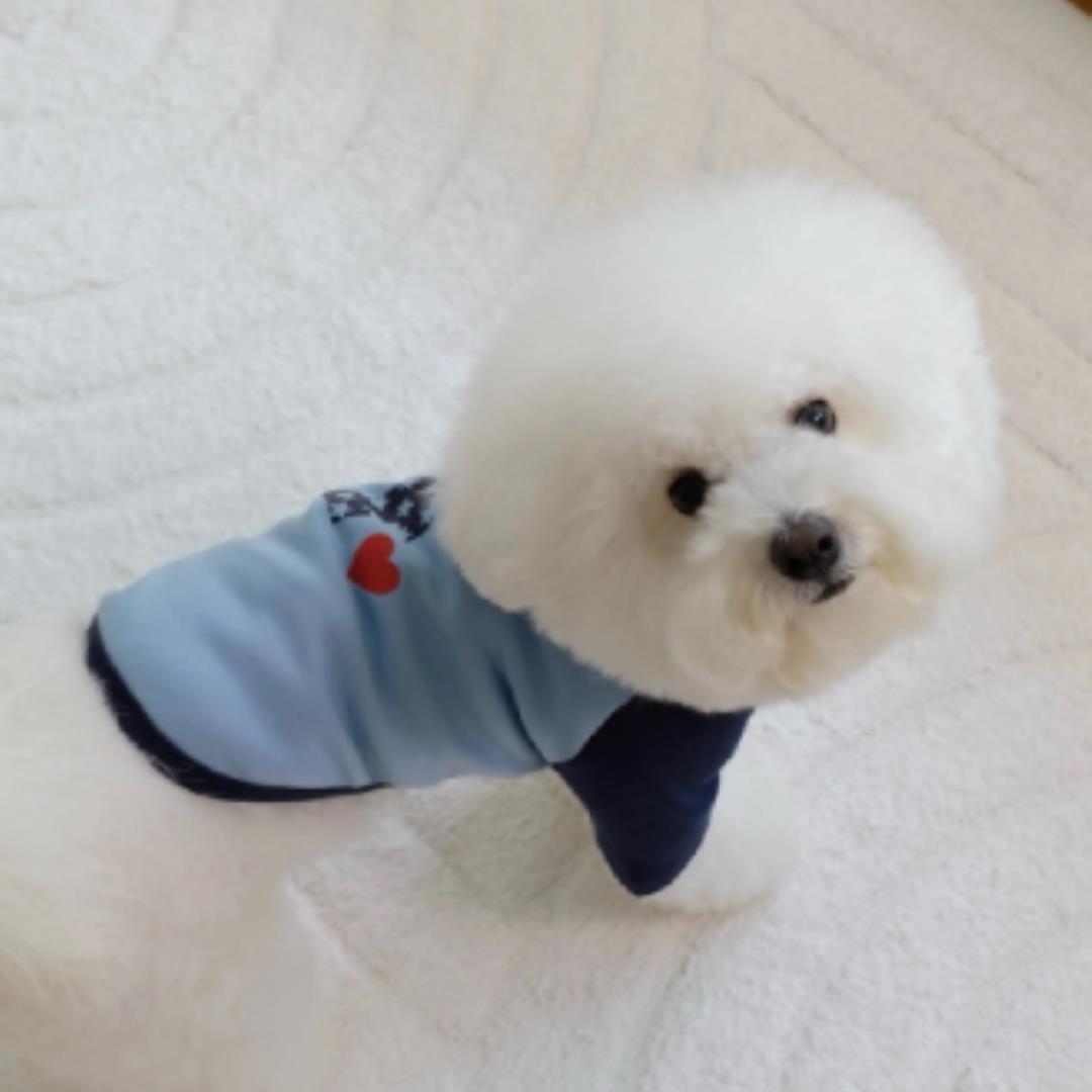 即納【FREDDIE TALE】F logo raglan tee（Blue）