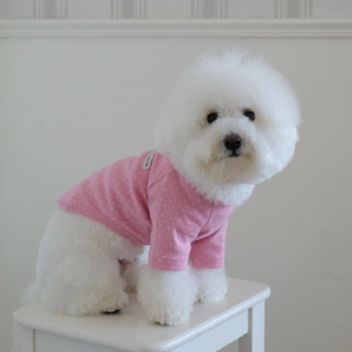 ※予約販売【FREDDIE TALE】Dotter raglan tee(pink)