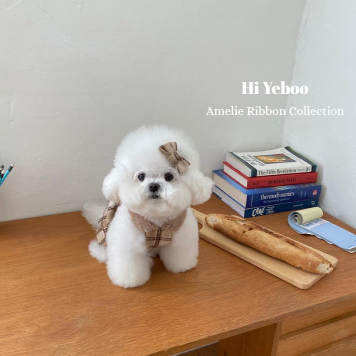 ※予約販売【Hi Yeboo】Amelie Ribbon Collection One piece(brown)