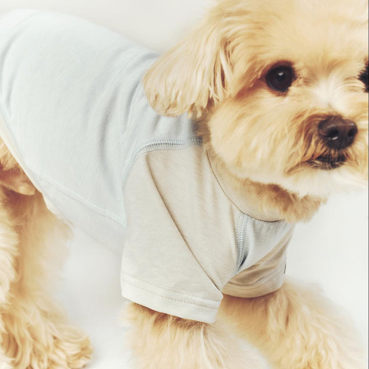 ※予約販売【seoru】Classic Raglan T-shirt(Sky Blue)