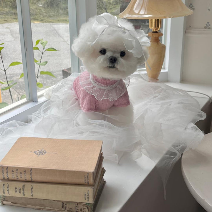 ※予約販売【Hi Yeboo】Iris Cape Collar Ops (Pink)