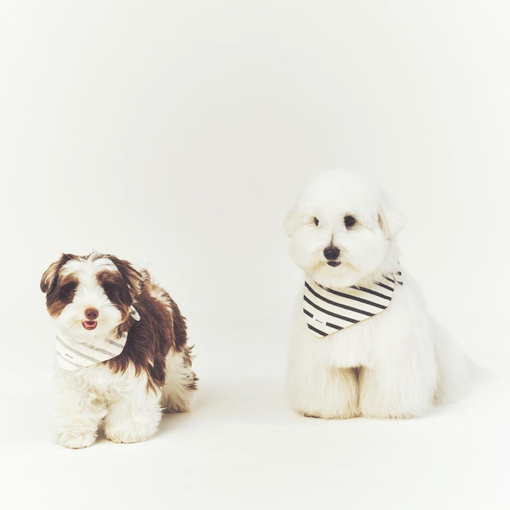 ※予約販売【seoru】Classic stripe Cape