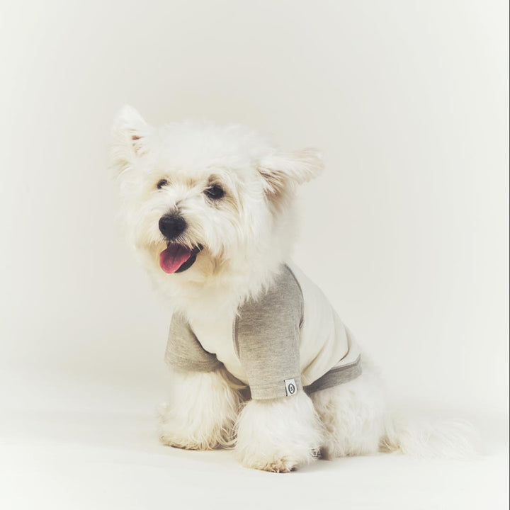 ※予約販売【seoru】Classic Raglan T-shirt(Melange Gray)