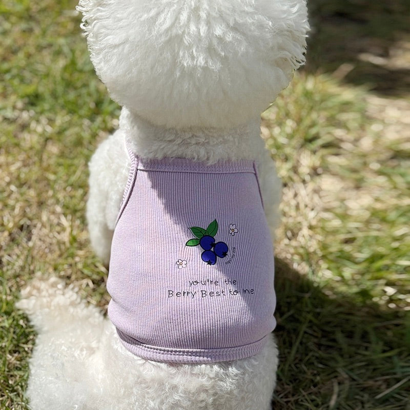 ※予約販売【OOPS! MY DOG】Tutti Fruitti Blueberry
