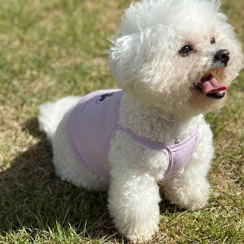 ※予約販売【OOPS! MY DOG】Tutti Fruitti Blueberry