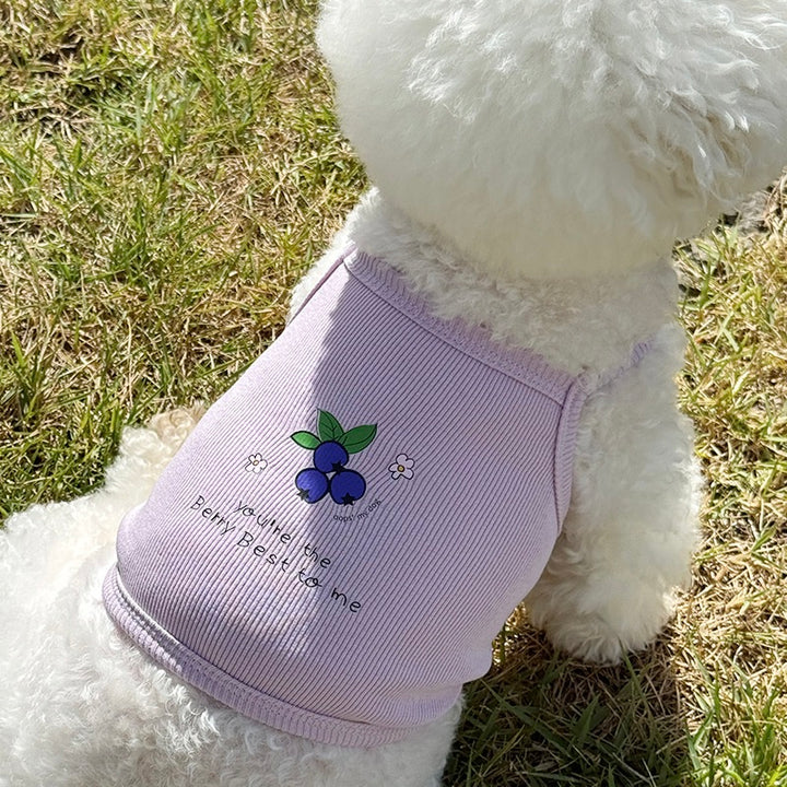 ※予約販売【OOPS! MY DOG】Tutti Fruitti Blueberry