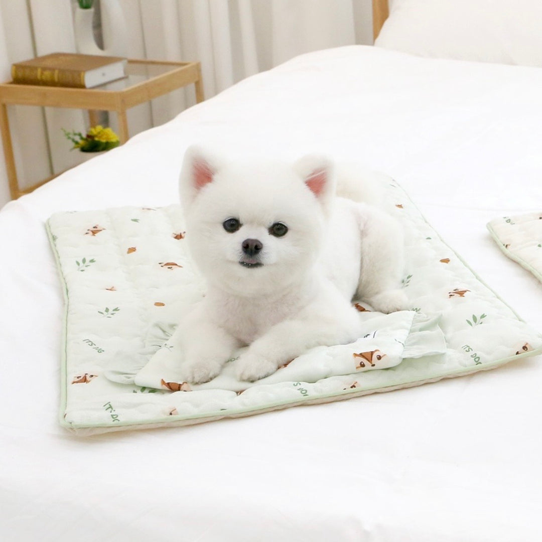 ※予約販売【ITS DOG】Insights Cooling Mat（Darami Green）