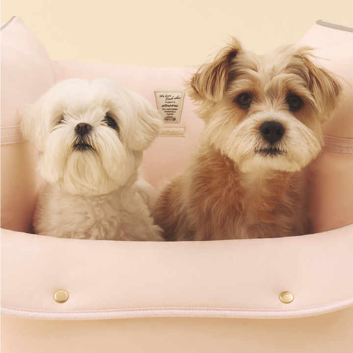 ※予約販売【seoru】Cruise Car seat（Pink）