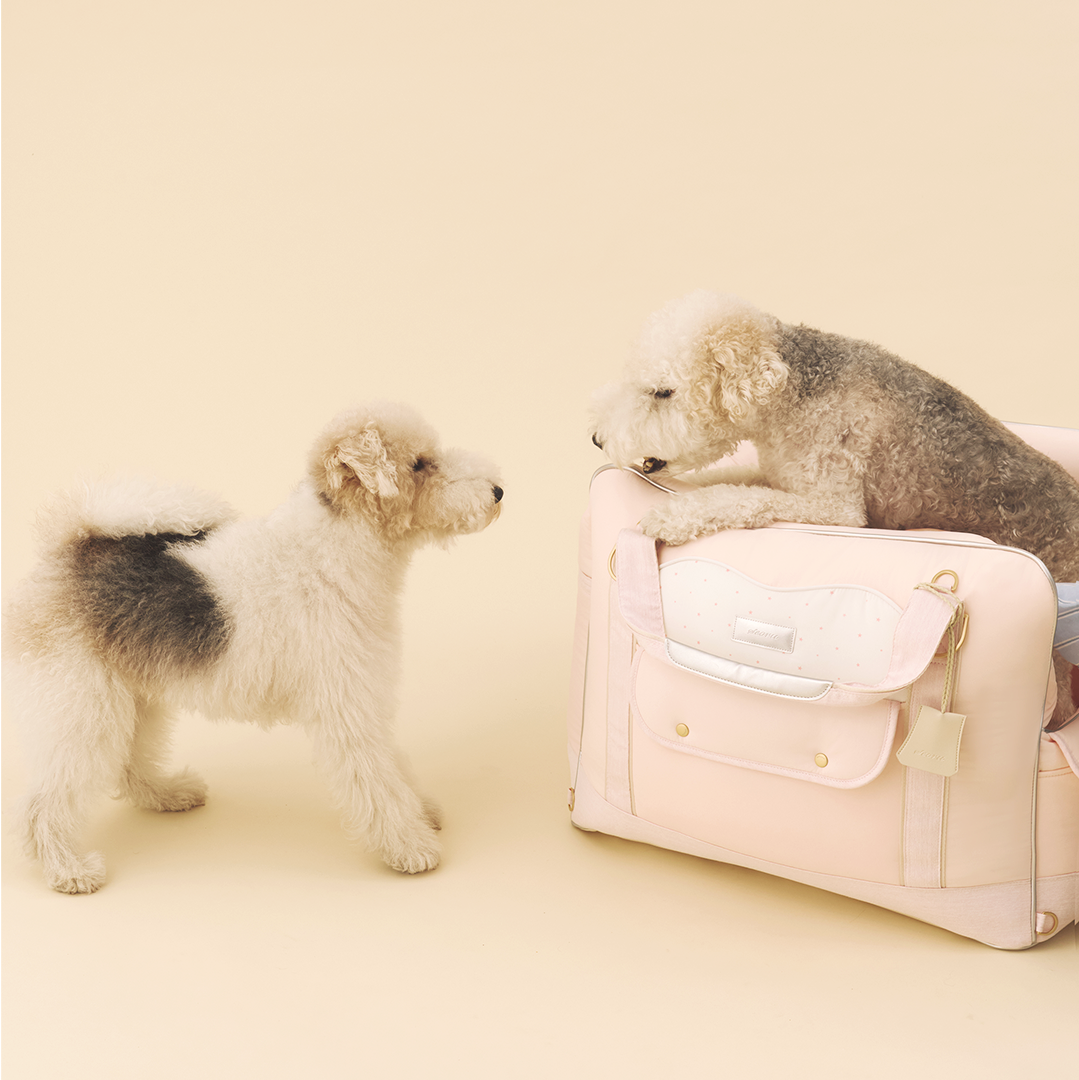 ※予約販売【seoru】Cruise Car seat（Pink）