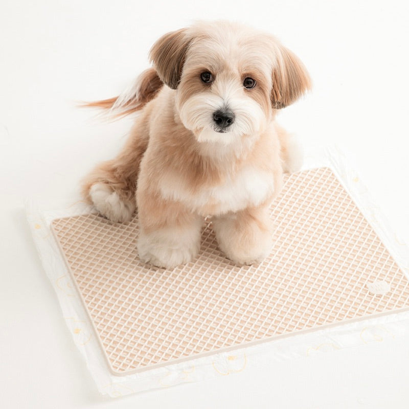 トイレグッズ – URBAN DOG TOKYO