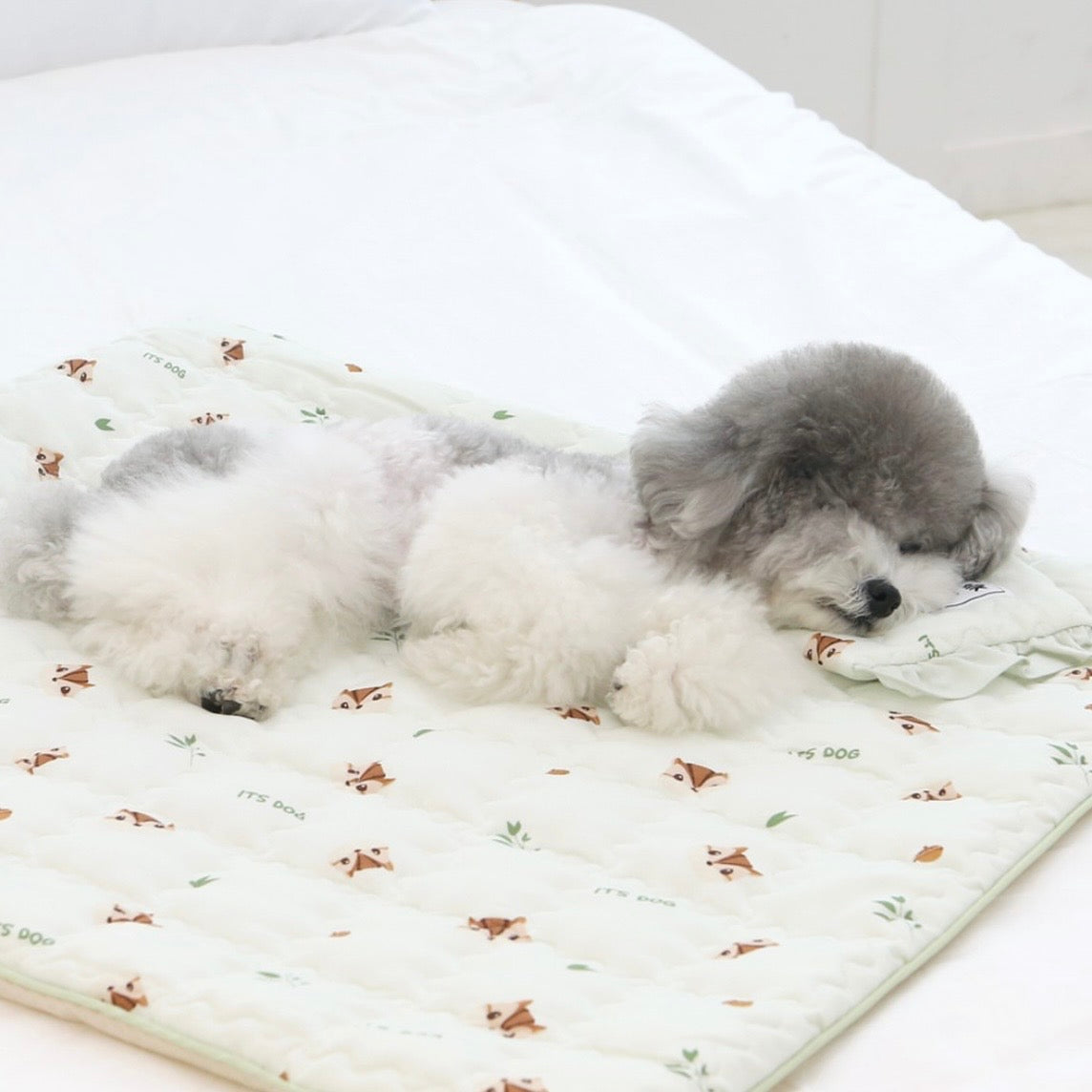 BED – URBAN DOG TOKYO