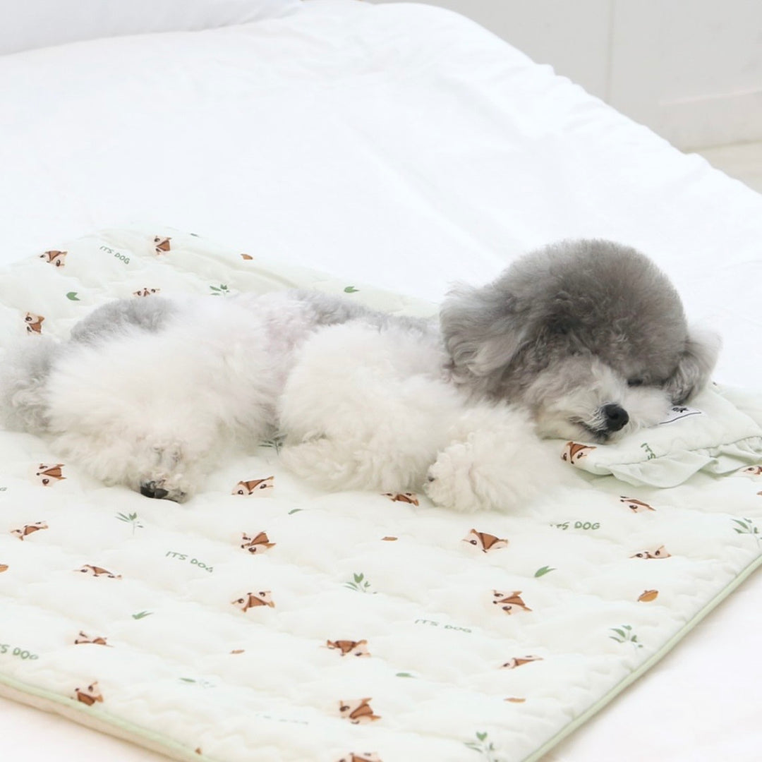 ※予約販売【ITS DOG】Insights Cooling Mat（Darami Green）