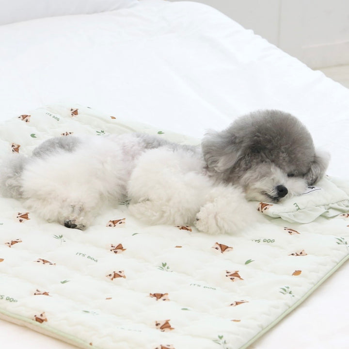 ※予約販売【ITS DOG】Insights Cooling Mat（Darami Green）