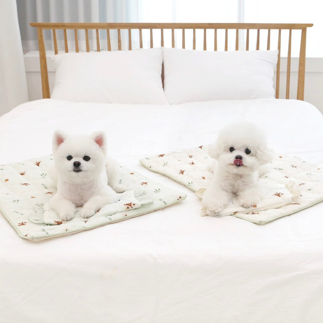 ※予約販売【ITS DOG】Insights Cooling Mat（Darami Cream）