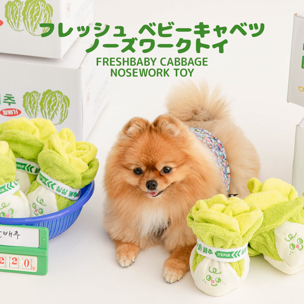海外犬服 高品質なインポートのドッグウェア通販 