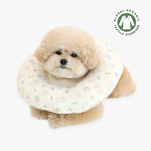 ※予約販売【ITS DOG】Organic Integrated Quilted Neck Collar (banny garden）