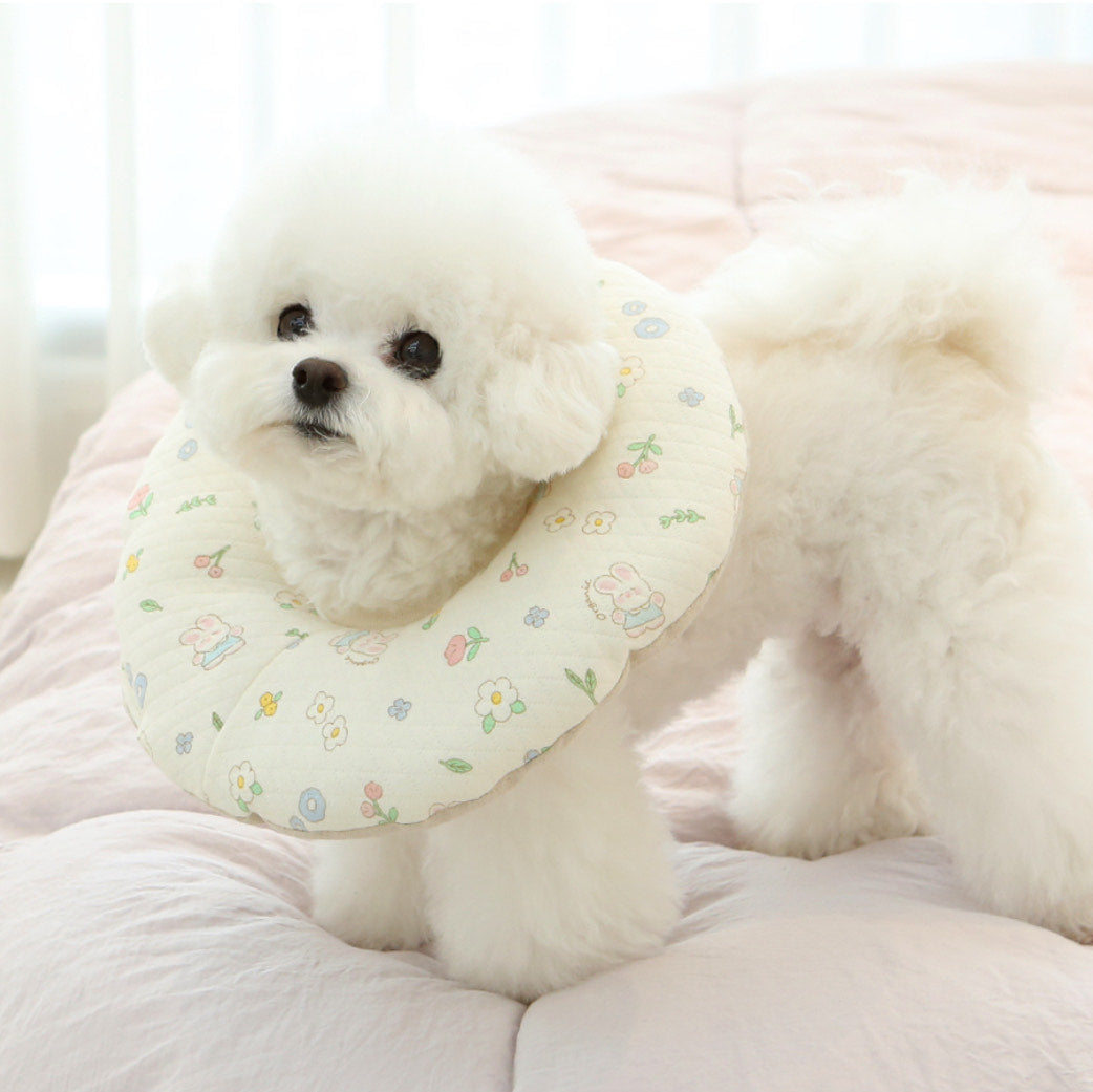 ※予約販売【ITS DOG】Organic Integrated Quilted Neck Collar (banny garden）