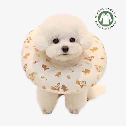 ※予約販売【ITS DOG】Organic Integrated Quilted Neck Collar (Chip & Dale）