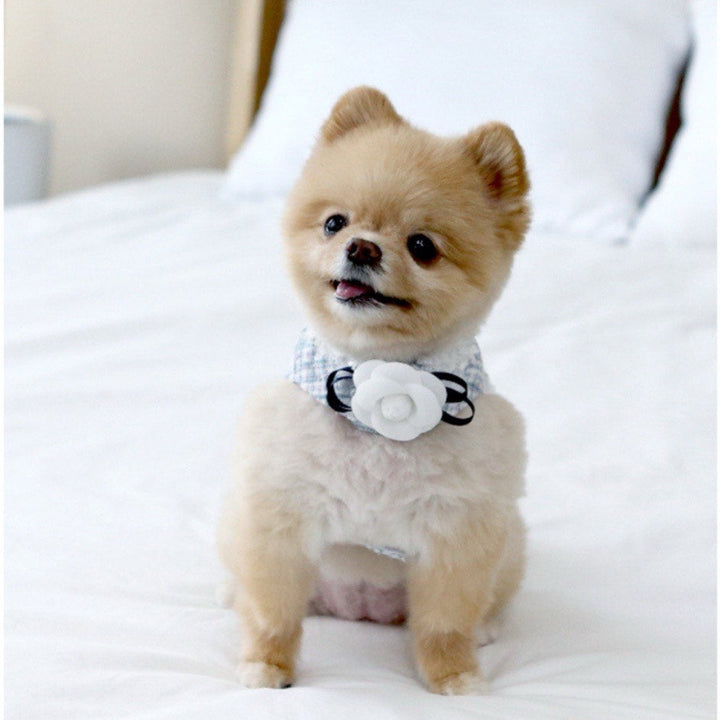 ※予約販売【ITS DOG】Camellia tweed harness (Blue)