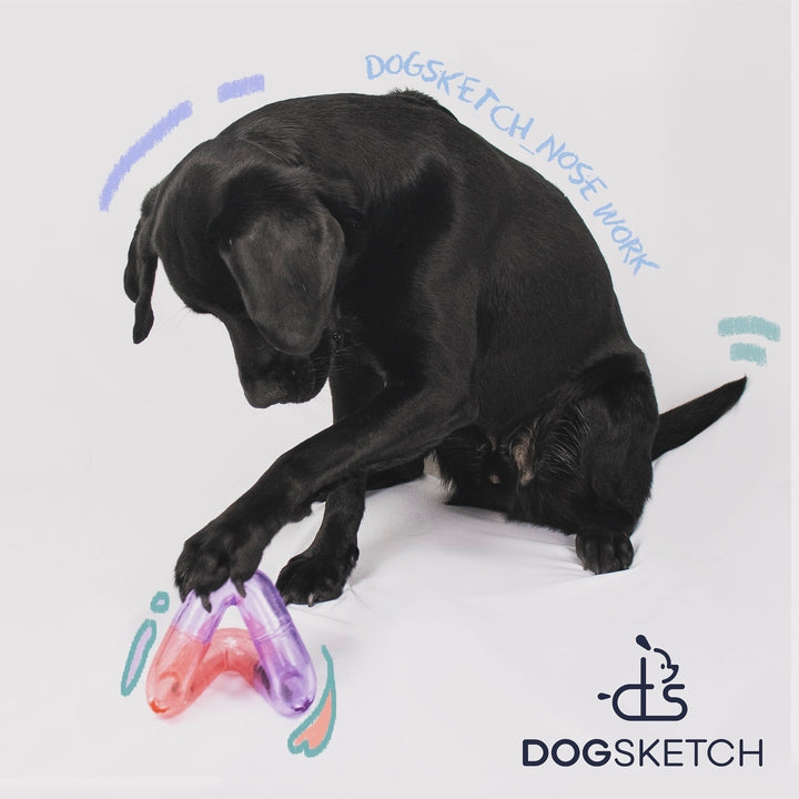 即納【DOGSKETCH】新感覚！分離不安トレーニング球状ノーズワークトイ