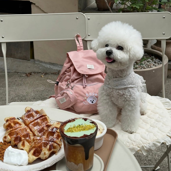 ※予約販売【MOOD ON.】CUSTOM BACKPACK｜犬用バッグ
