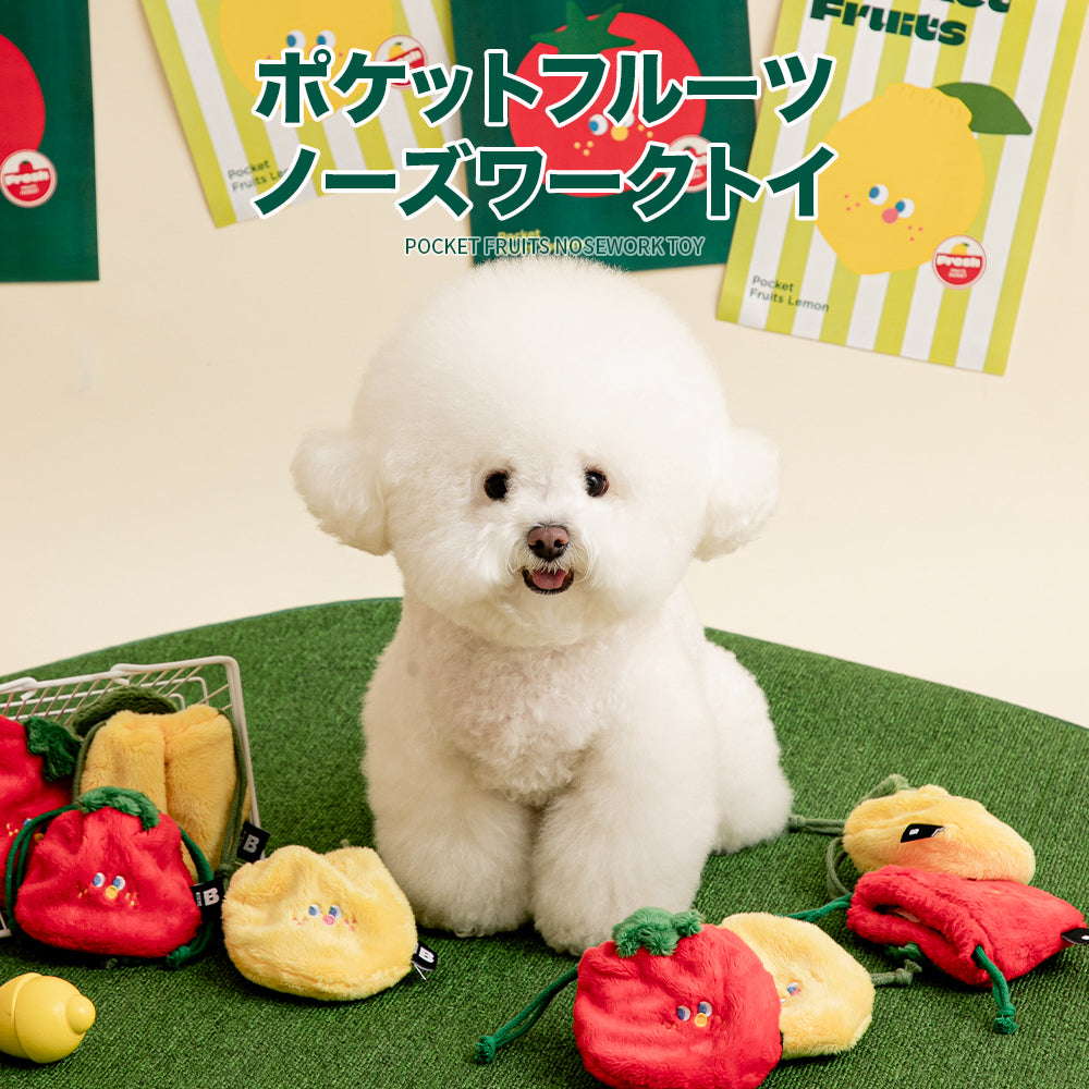 ※予約販売【BITE ME】Pocket Fruits Nosework Toy