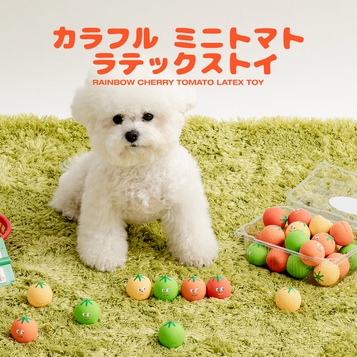 即納【BITE ME】Rainbow Cherry Tomato Latex Toy（4pcs）