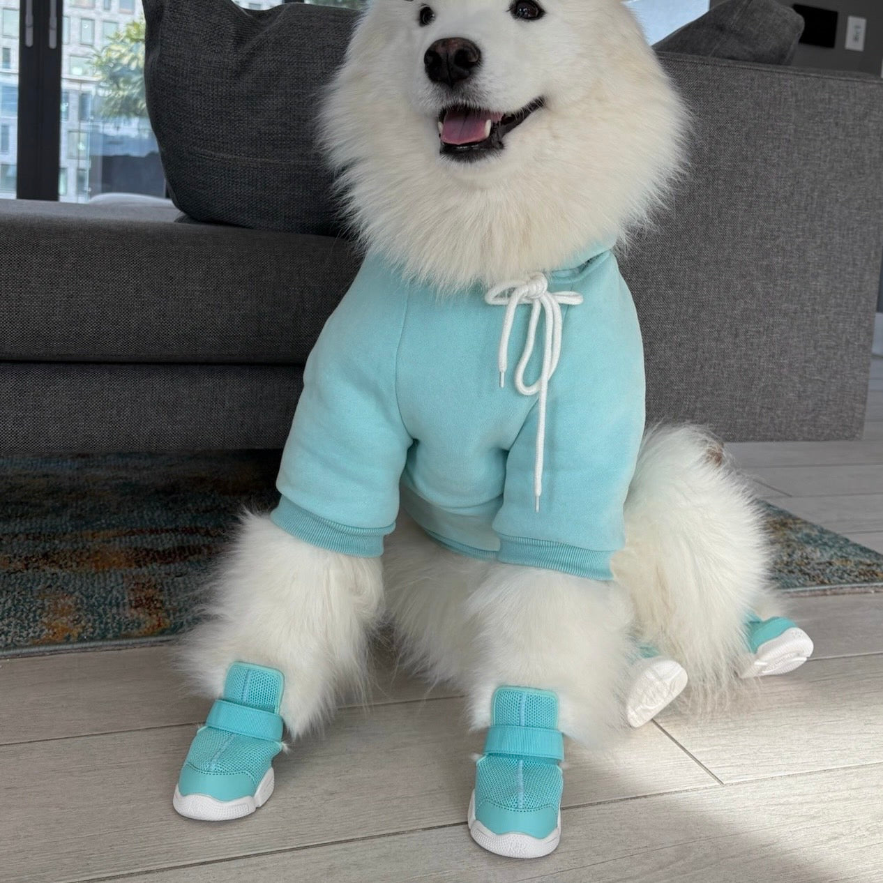 海外犬服 高品質なインポートのドッグウェア通販 
