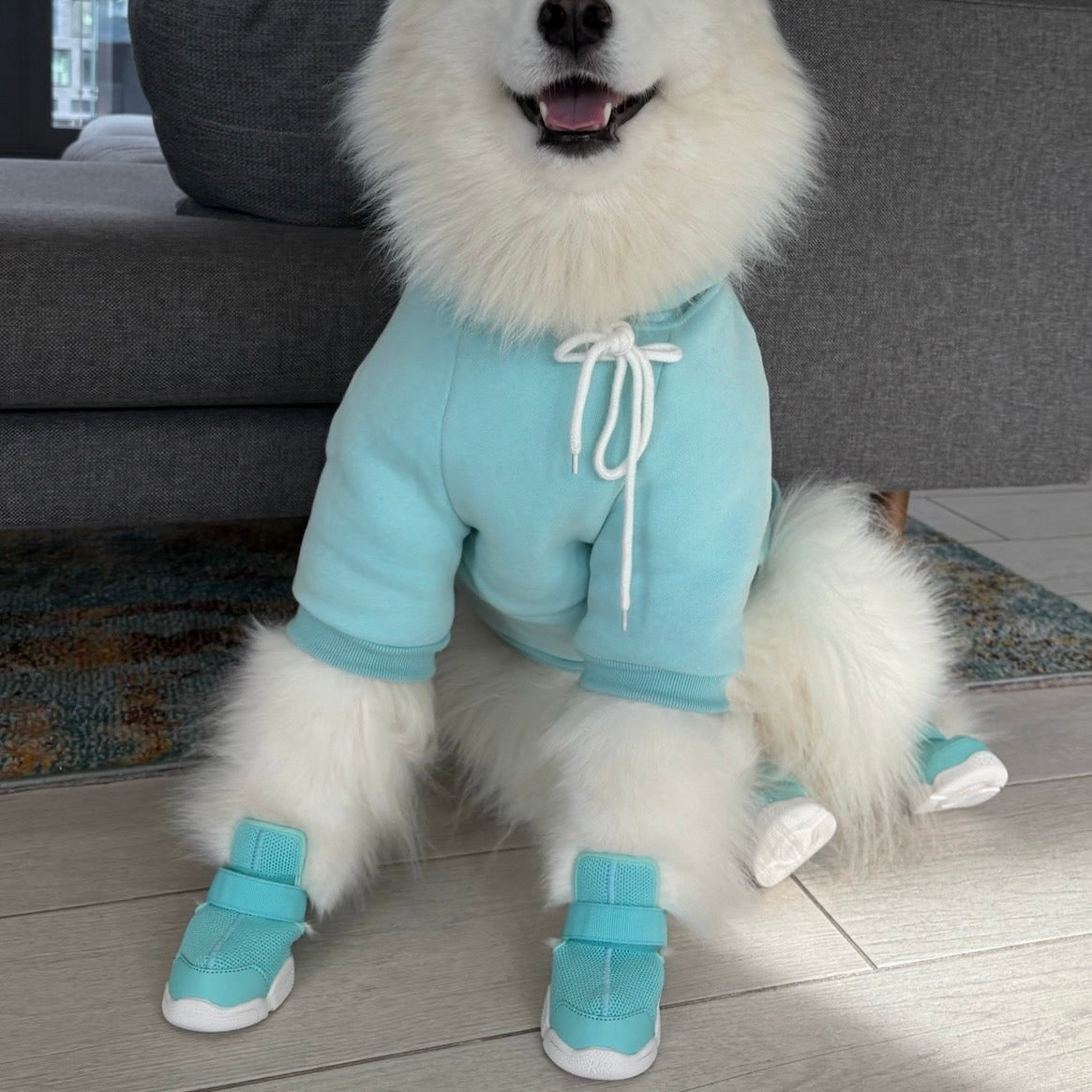 海外犬服 高品質なインポートのドッグウェア通販 